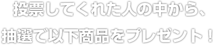 投票してくれた人の中から、抽選で以下商品をプレゼント！